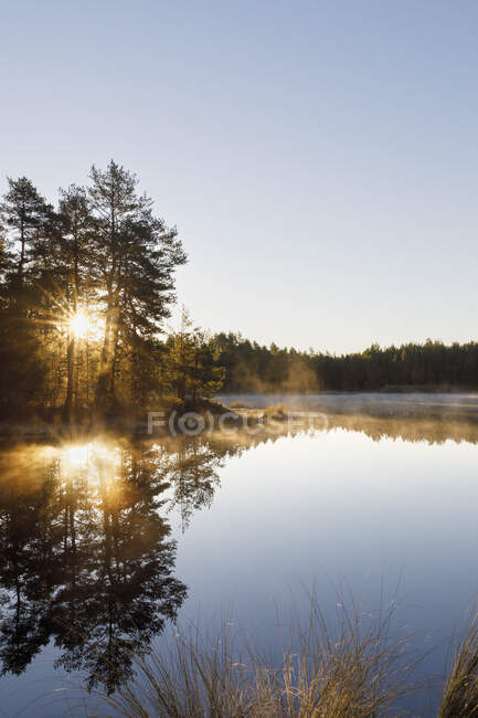 Stora Skiren See und Wald bei Sonnenuntergang — Stockfoto