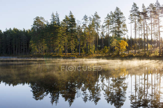 Stora Skiren lago e floresta durante o pôr do sol — Fotografia de Stock