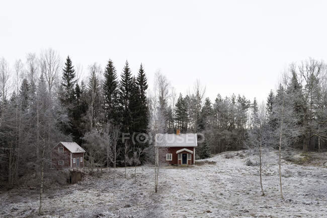 Cabanas e neve na floresta — Fotografia de Stock