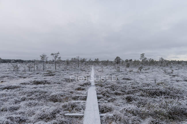 Boardwalk through field during winter — Stock Photo