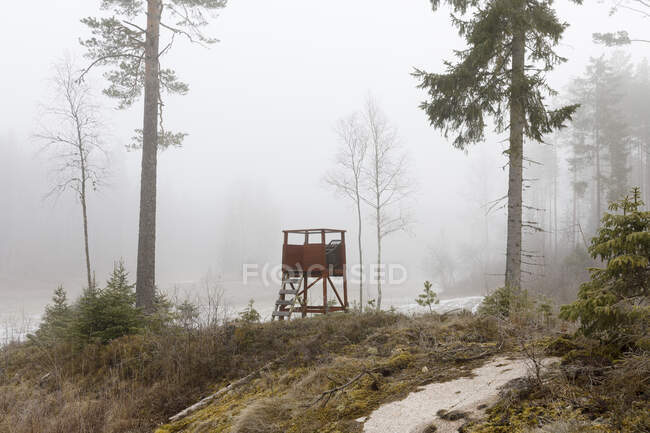 Hunting blind in forest during winter — Stock Photo
