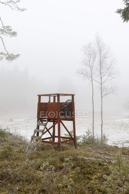 Caza ciega en el bosque durante el invierno - foto de stock