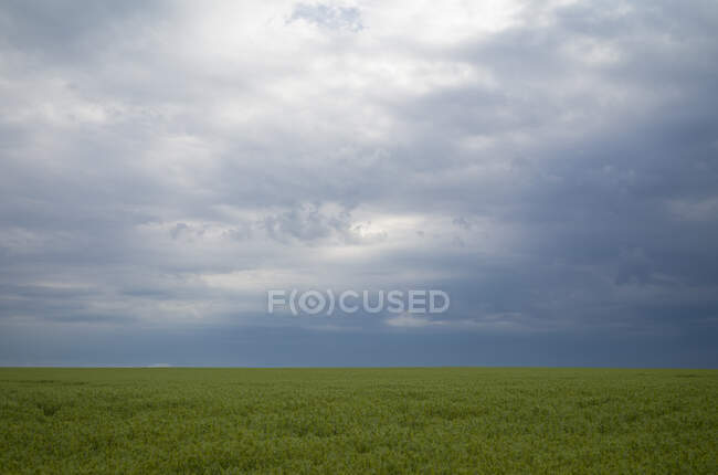 Тучи в небе над полем — стоковое фото
