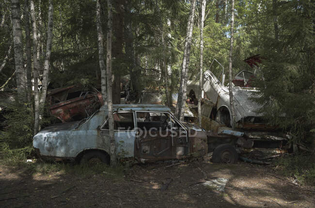 Montón de coches abandonados en el bosque - foto de stock
