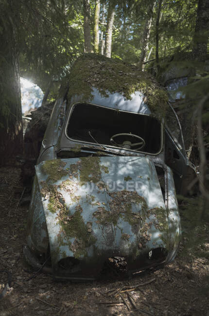 Moss en coche abandonado en el bosque - foto de stock
