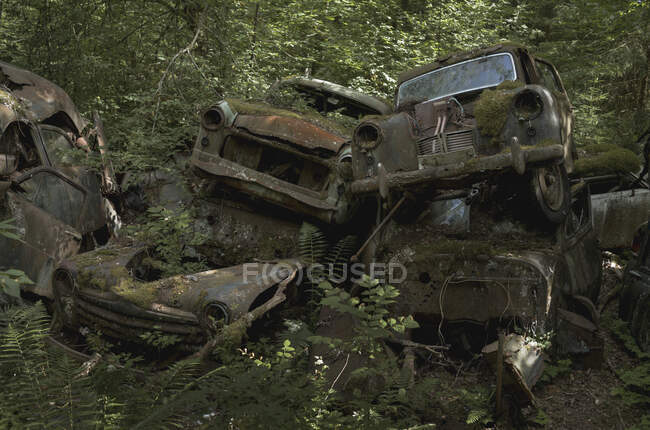 Stapel verlassener Autos im Wald — Stockfoto