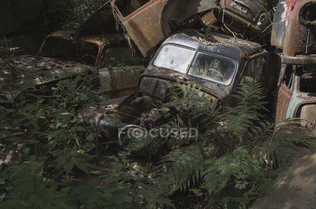 Pilha de carros abandonados na floresta — Fotografia de Stock