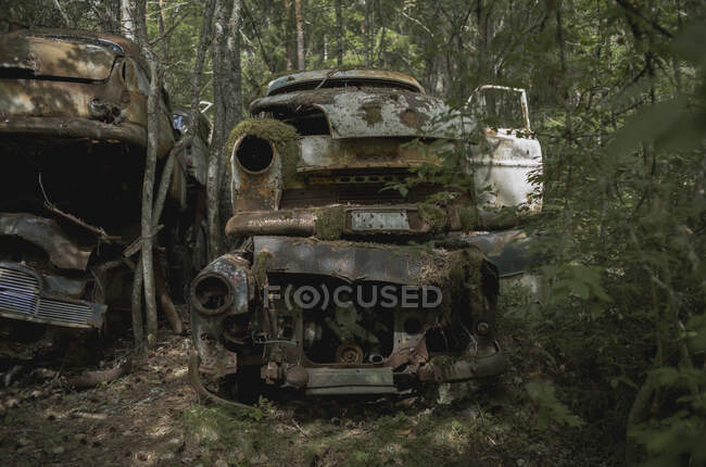 Stack of abandoned cars in forest — Stock Photo