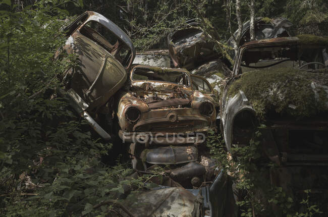 Empilement de voitures abandonnées dans la forêt — Photo de stock