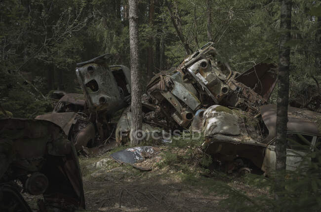 Montón de coches abandonados en el bosque - foto de stock