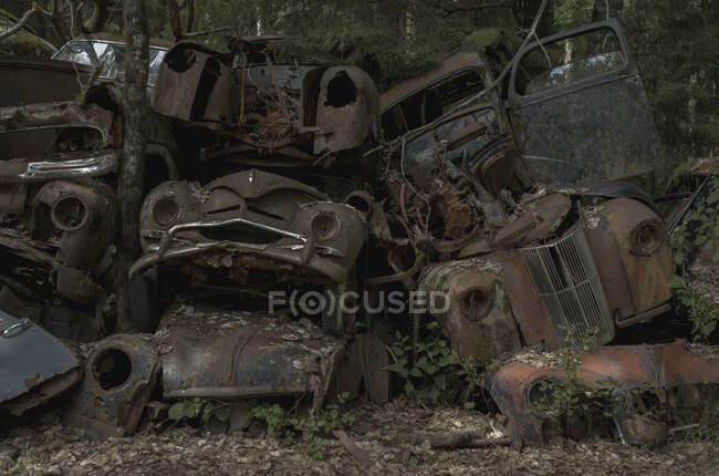 Pilha de carros abandonados na floresta — Fotografia de Stock