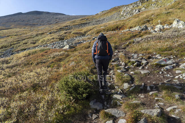 Young man hiking on mountain — Stock Photo