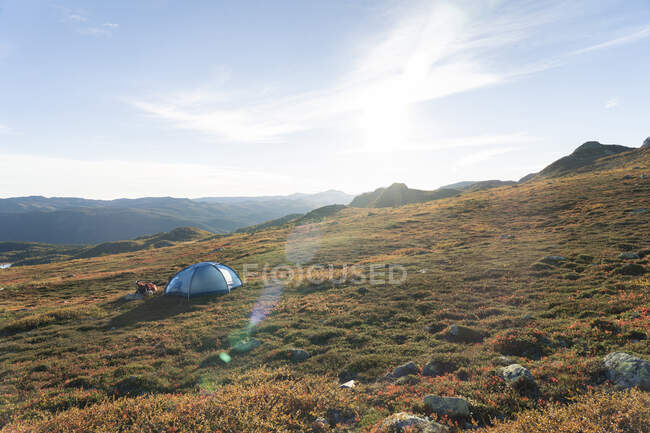 Молодой человек кемпинг с палаткой на горе — стоковое фото
