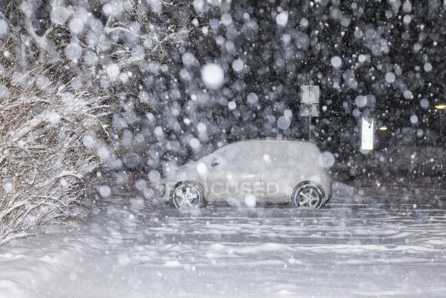 Автомобіль на парковці вкритий снігом — стокове фото