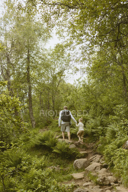 Отец и дочь идут по тропе — стоковое фото