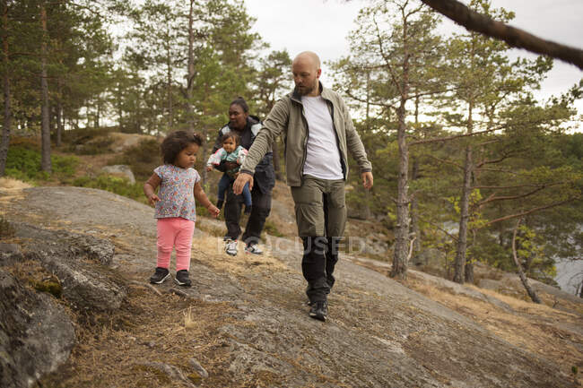 Familia mientras camina en el bosque - foto de stock