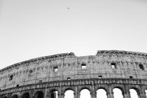 Fachada do Coliseu sobre o céu com pássaro no céu — Fotografia de Stock