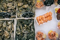 Vista elevada de ostras em caixas e camarões em espetos com etiquetas — Fotografia de Stock