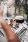 Fashionable couple kissing with silver balloons on street — Stock Photo