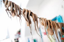 Крупним планом вигляд сушених восьминогів на мотузці на відкритому повітрі — стокове фото