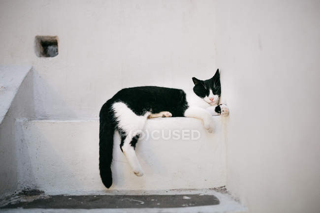 Urban scene of narrow Paros city street and cat — Stock Photo