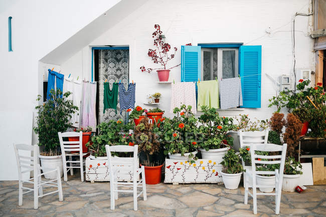 Живописный вид на растения и стулья на улице Парос, Эгейское море, Киклады, Греция — стоковое фото