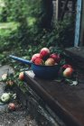 Frisch gepflückte Äpfel im Topf auf Holztreppe im Freien — Stockfoto