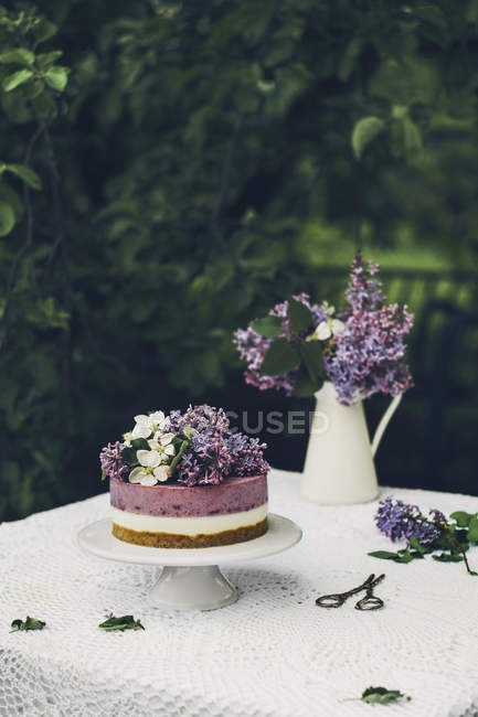 Tarta de queso de arándano y vainilla decorada con flores de lila fresca en la mesa de jardín - foto de stock