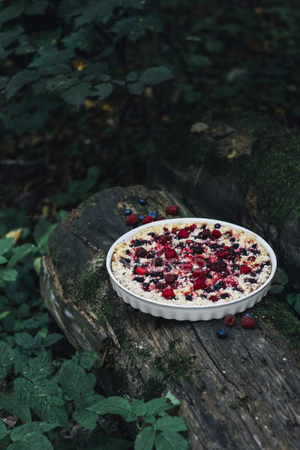 Berry streusel pie with cottage cheese on tree trunk in forest — Stock Photo