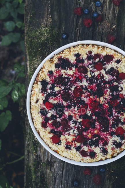 Berry streusel pie with cottage cheese on tree trunk — Stock Photo