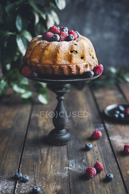 Classic austrian Kugelhopf cake garnished with raspberries and blueberries on cake stand — Stock Photo