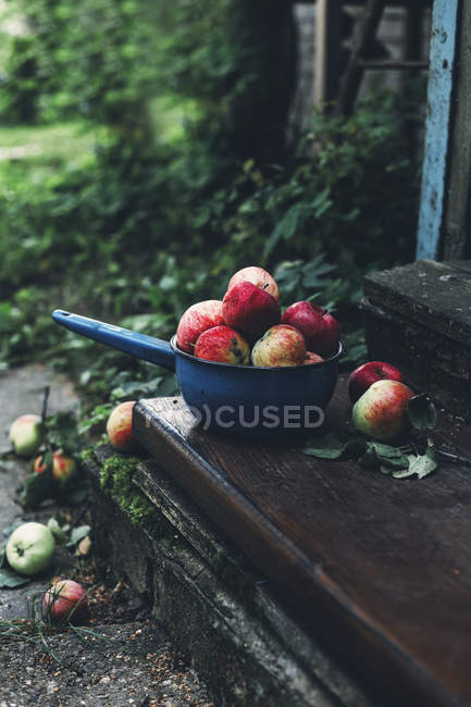 Pommes fraîches cueillies dans une casserole sur un escalier en bois à l'extérieur — Photo de stock