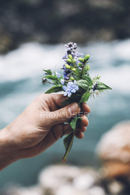 Mão humana segurando pequeno monte de flores selvagens — Fotografia de Stock