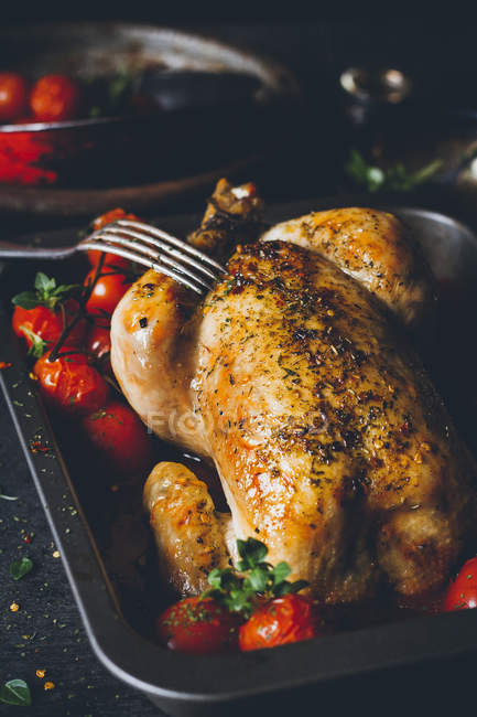 Whole roasted chicken with tomatoes in baking dish — Stock Photo