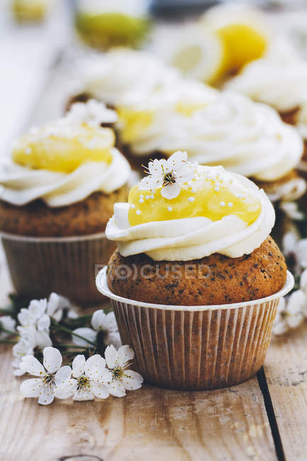 Zitronenmohn-Cupcakes mit Zitronenquark — Stockfoto