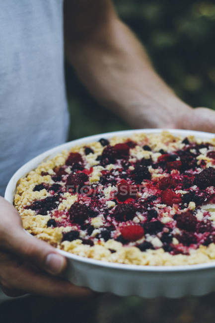 Human hands holding berry streusel pie with cottage cheese — Stock Photo