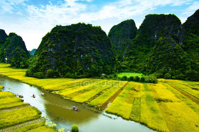 Ngodong Fluss durch Reisfelder in ninh binh, Vietnam. — Stockfoto