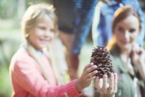 Students and teacher holding pine cone in forest — Stock Photo