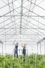 Trabajadores ajustando aspersores en invernadero - foto de stock