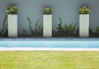 Сучасний басейн на колінах проти рослин біля стіни — стокове фото