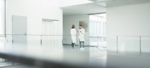 Médicos hablando en el pasillo del hospital - foto de stock