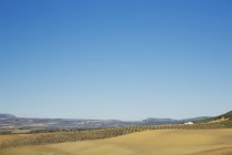Сельский пейзаж под голубым небом — стоковое фото