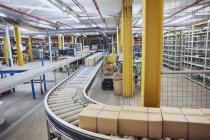 Cardboard boxes on conveyor belt in distribution warehouse — Stock Photo