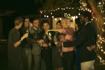 Amici che festeggiano con champagne alla festa — Foto stock