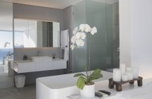 Сучасний, розкішний домашній вітрина інтер'єр ванної кімнати — стокове фото