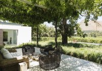 Камин и кресла на роскошном патио с видом на виноградник — стоковое фото