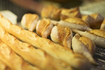 Close up of fresh bread in bakery — Stock Photo