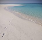 Следы на песке на тропическом пляже — стоковое фото
