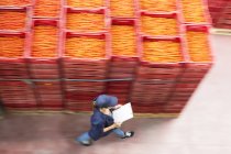 Trabajador con portapapeles pasando por cajas de tomate en planta de procesamiento de alimentos - foto de stock