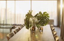 Folhas de plantas tropicais em vasos na mesa de jantar — Fotografia de Stock